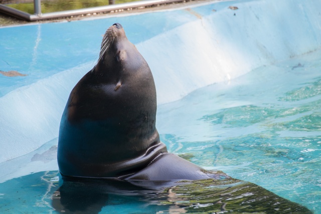 Zoom-In 6D-IMG_5758.jpg