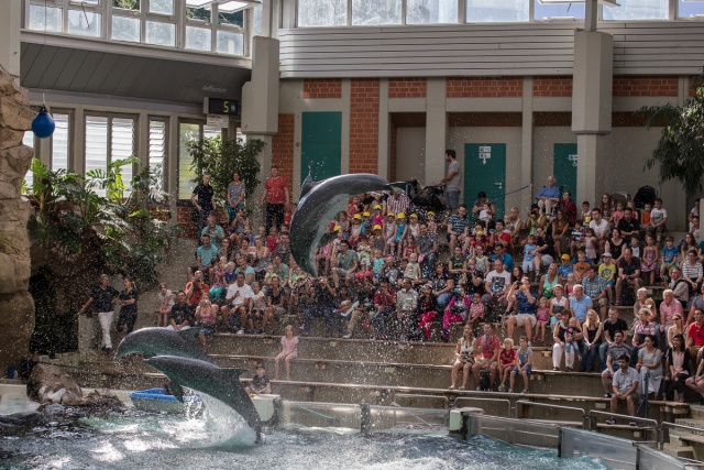 Zoom-In 6D-IMG_5817.jpg