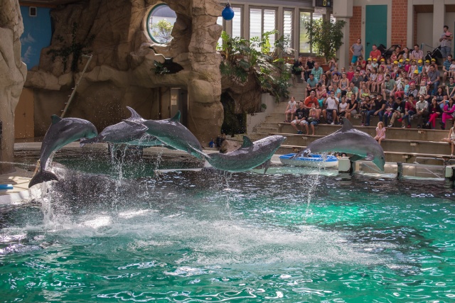 Zoom-In 6D-IMG_5825.jpg