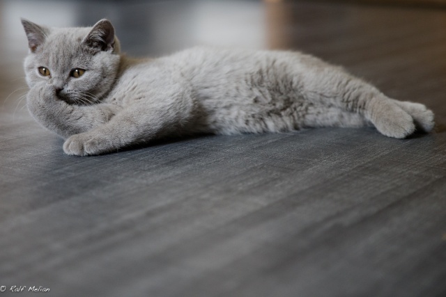 Zoom-In 6D2-IMG_6114