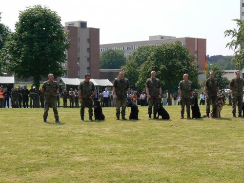 a01-picture1.jpg