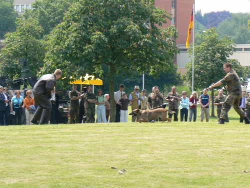 a01-picture2.jpg