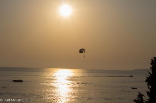 IMG_1463.jpg