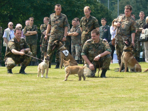 a01-picture3.jpg
