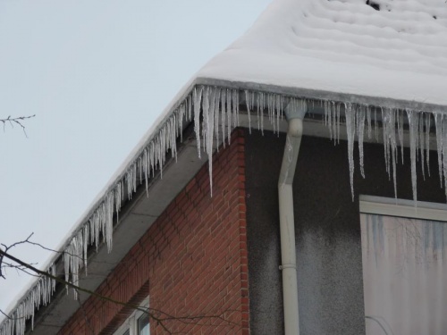 winter_01.jpg