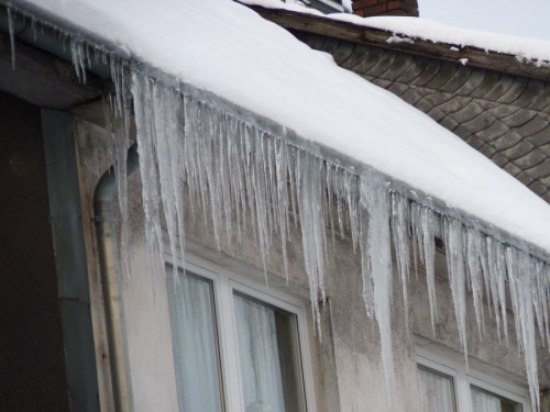 winter_02.jpg