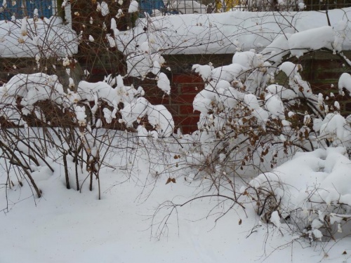 winter_03.jpg