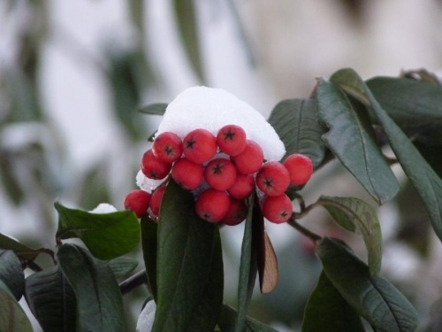winter_04.jpg