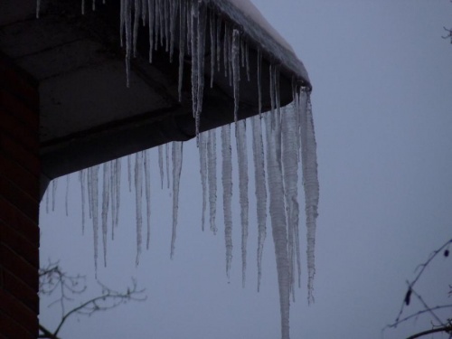 winter_05.jpg