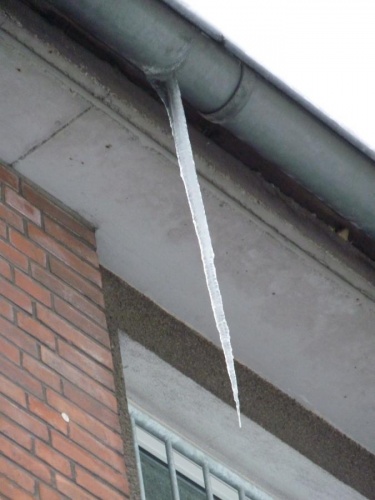 winter_06.jpg