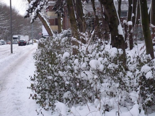 winter_09.jpg